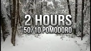 2 Hour 50/10 Pomodoro Timer ❄️ Snowy Forest Path for Deep Focus