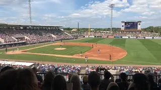 Tigers Spring Training!