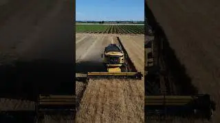 Cosechadora New Holland CX8060 🌾  #agricultura #cosechadora #newholland