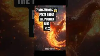 7 FACTS ABOUT THE PHOENIX BIRD PT.2 #short