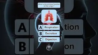 #function of lungs: #viralshort ,#quiztime #foryou #biology #trivia #shortsfeed ,#trendingshorts