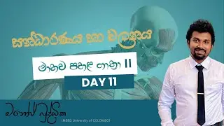 Biology Lesson in Sinhala | Support & movement - Lesson 11