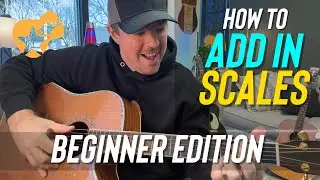 Adding Scales Into Your Guitar Chords (Beginner Edition)