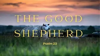 The Good Shepherd- Psalm 23| Trinity Presbyterian Church Sermon