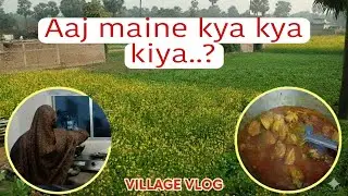 Aaj Maine kya kya kiya ? #viral #daillyvlogs #vlogs #ytshorts #village 