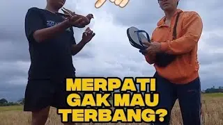 Solusi merpati yang gak mau terbang 