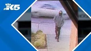 Everett police looking for 'person of interest' in stabbing of teen near middle school