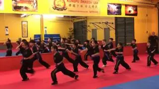 (Shaolin Lianhuan Fist- performed by KungFu Dragon USA youth team kids.)