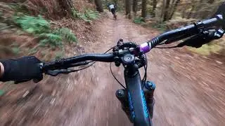 Rogate Downhill - Nov 2021 - Blue Bottle Rocket