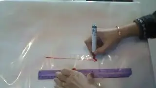 Escalas y Sistemas Colineales