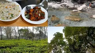 Family trip, Dooars trip,Day2