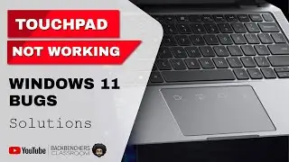 How to Fix Touchpad Not Working issue in Windows 11 Laptops | Windows bugs