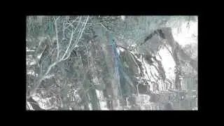 The Tree Mirror (Bio-Heritage)