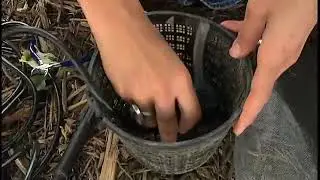 Pond Pump Protector