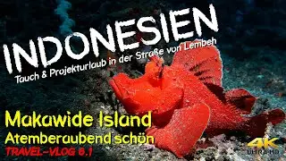 Tauchen INDONESIEN - Makawide Island 