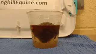 Mineral Oil versus Water for Colic Treatment