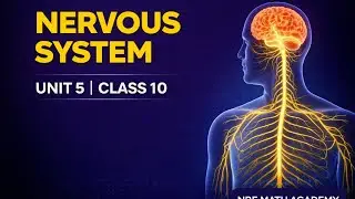 Biology Class 10 NBF Unit 5 Revision | Nervous System | Complete Chapter