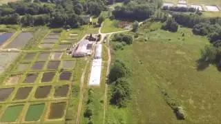 Aerial video of Yoshikigoi Farm