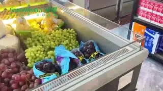 Green Health Commercial Horizontal Fruit Showcase