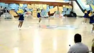 CIHS - short flags