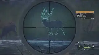 theHunter: Call of the Wild-Big Sika Deer dropped perfectly in Scotland