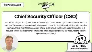 Chief Security Officer (CSO)