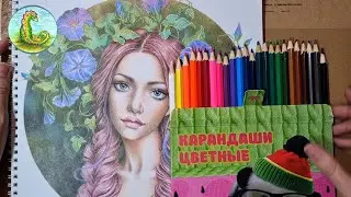 Обзор на карандаши Hatber