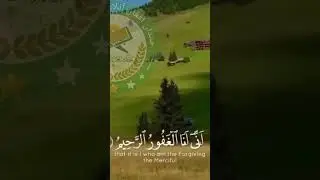 beautiful Recitation 🌹 #foryou #religion #rewards #sadpoetry #important