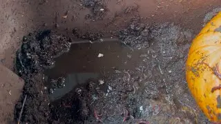 Composting with Craig Ep: 375: Help! My Red Wiggler Worm Bin is Too Wet!
