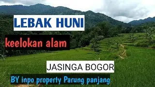 #Lebakhuni #kembangkuning  #jugalajaya #jasingabogor #bogorbarat  #085694132031 #Budiman