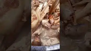 Manta iyo falog shaqo ah shaqaa sharaf leh