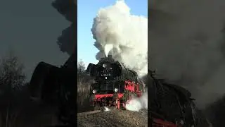 Der Rodelblitz f&auml;hrt wieder! - 41 1144 #rodelblitz #411144 #shorts