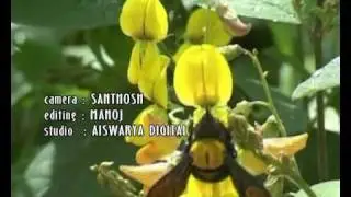 Idea Star Singer 2007 Najim Arshad - Uthradasandhya( Onam album Song)