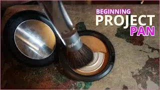 Project Pan 2017 Intro | freethetomatoes