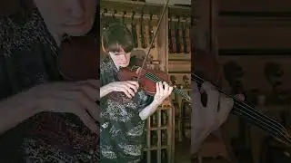 A. Vivaldi - Autumn 🎻🔥 #violin #classicalmusic #violinist #vivaldi #concerto #fourseasons #viral