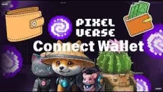 Pixelvers Profile Update & Wallet Connect। কিভাবে প্রোফাইল আপডেট করবেন।
