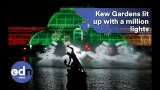 Kew Gardens illuminated with a million Christmas lights