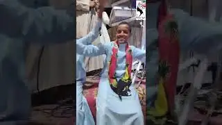 اعراس النوبة