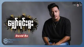 David Bo - မျှော်ရင်းရူး (Lyric Video)