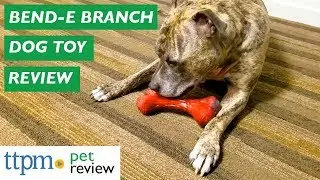 Bend-E Branch from StarMark Pet Products