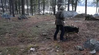 Tanner fetch