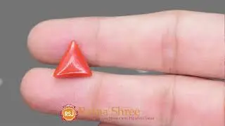 Red Coral (Moonga)- Certified Gemstone (4.60 Ratti) - 2