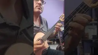 Bachna Ae Haseeno 😃 #music #ukulele