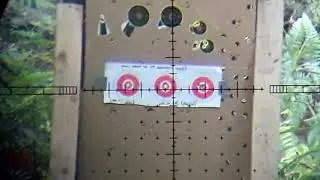 Edgun Matador R5 .30 Super long