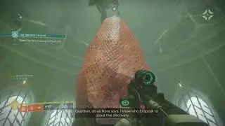 Riven's Last Egg and the 15th Wish Cutscene| Destiny 2