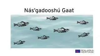 Learn the Numbers in the Tlingit Language