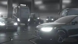 Dual controls Peheja
