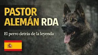 FOR MY SPANISH SPEAKING AMIGOS - Los Perros Siguen Luchando por su Legado