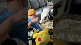 Movie night with Bruce! #cow #brucethecow #farm #animals IB: ​⁠@thegoodhype