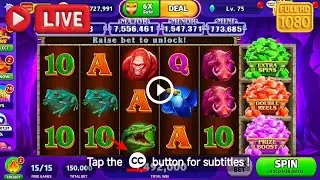 [Live] Игровой автомат Cash Frenzy Black Panther 🐾 Большие выигрышные награды и игровой процесс в...